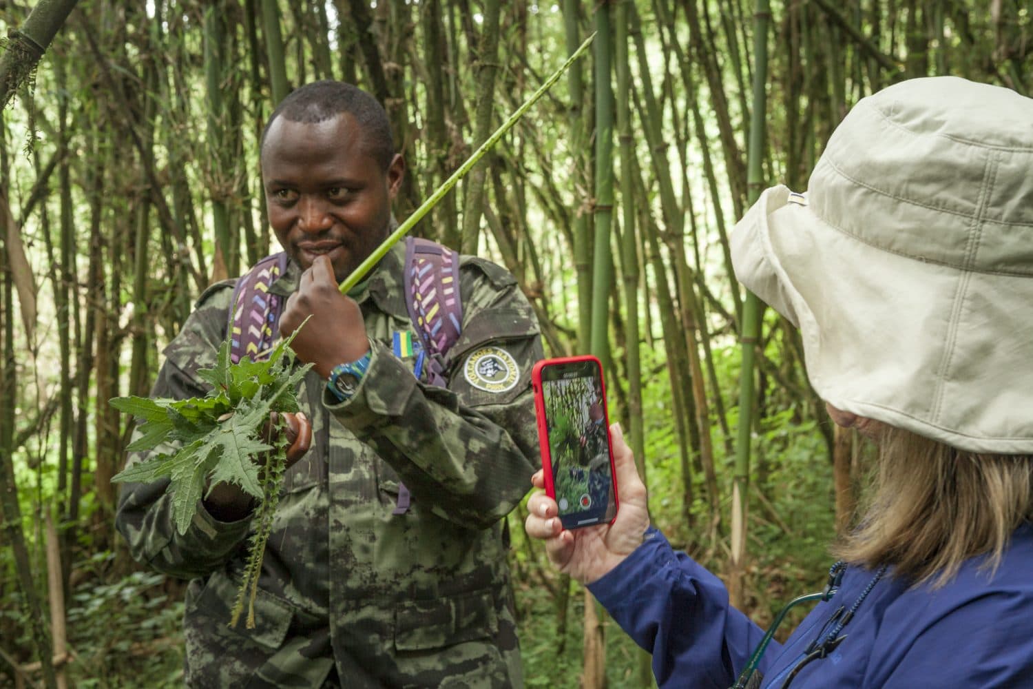 A gorilla trekking guide with a visitor in the bamboo forest