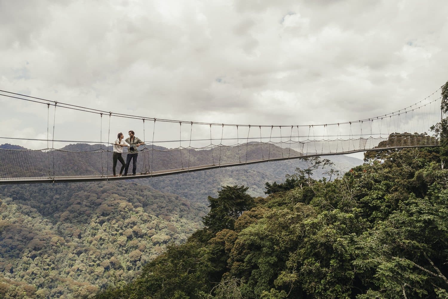 The canopy walkway above Nyungwe Forest